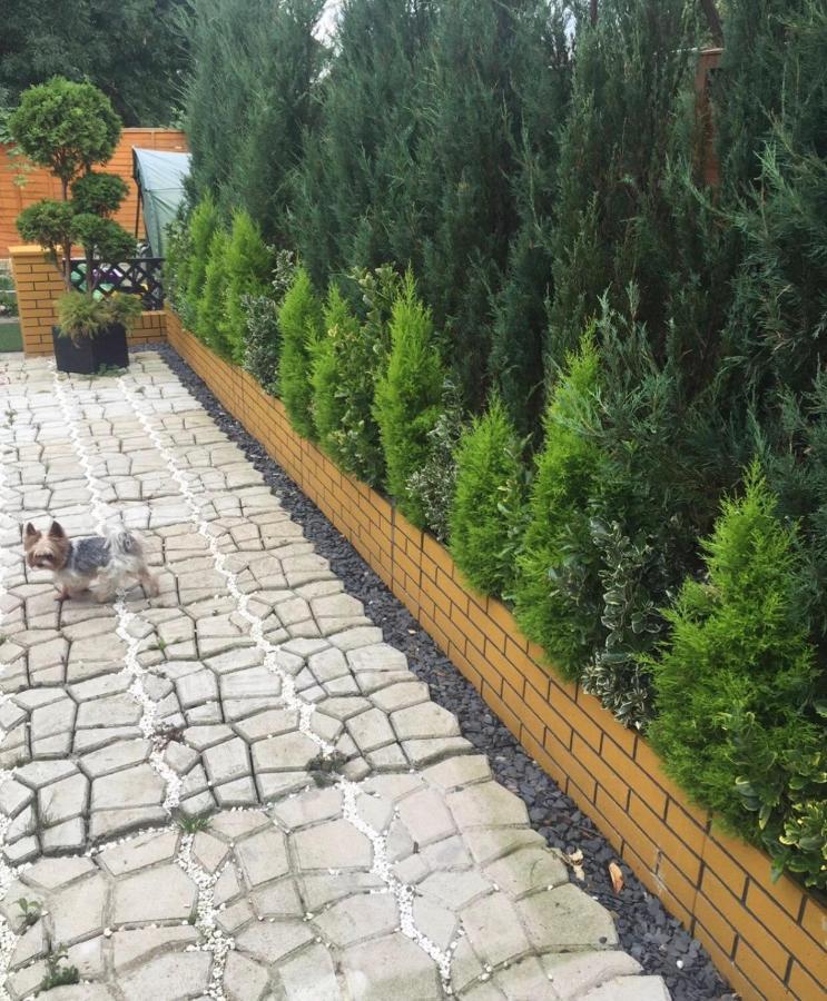 Apartment Luxe Free Wifi, Free Parking, Free Netflix Friern Barnet Dış mekan fotoğraf